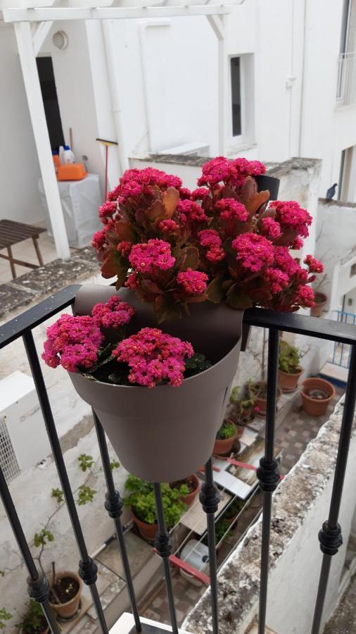 Che Bella Vita! 모노폴리 외부 사진