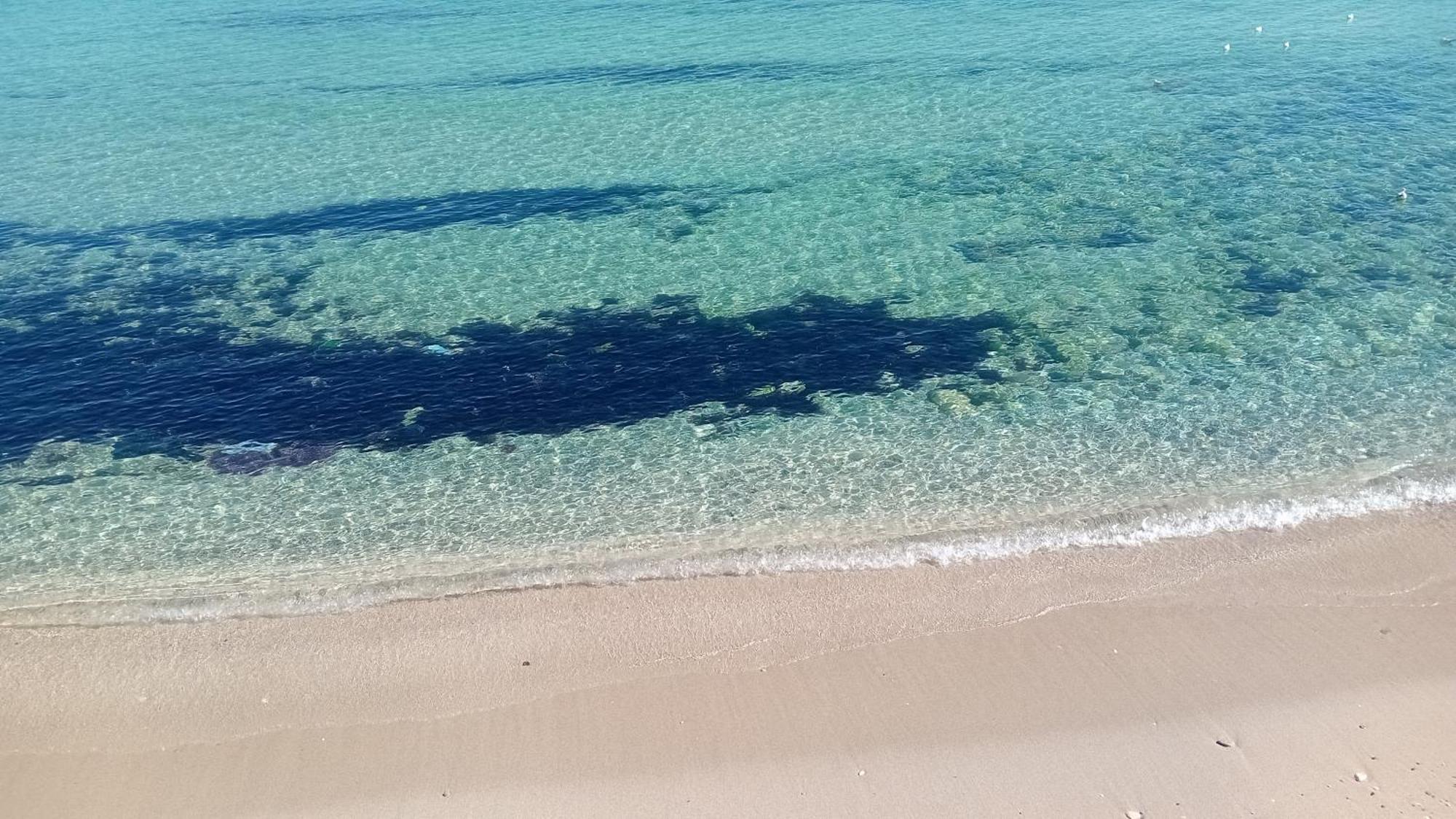 Che Bella Vita! 모노폴리 외부 사진